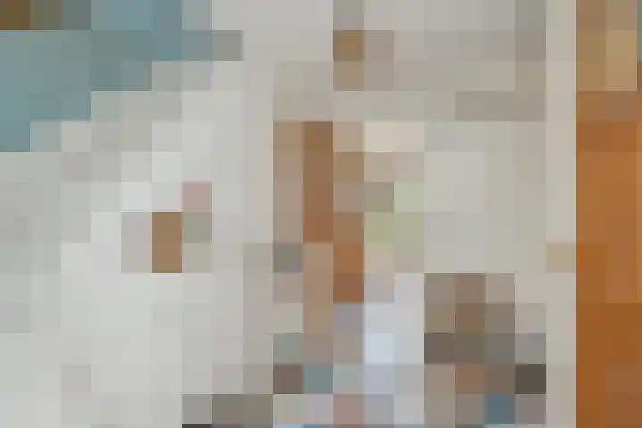 Zwanenbalg 1519 Julianadorp thumbnail 10
