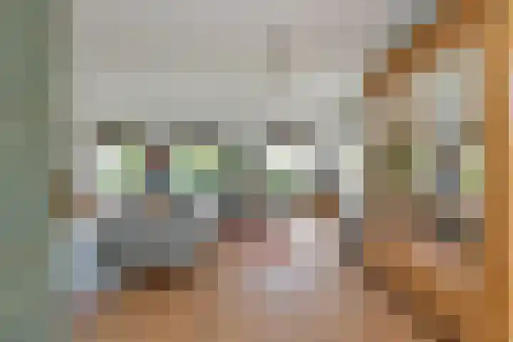 Zwanenbalg 1519 Julianadorp thumbnail 16