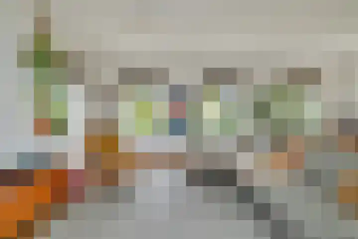 Zwanenbalg 1519 Julianadorp thumbnail 19