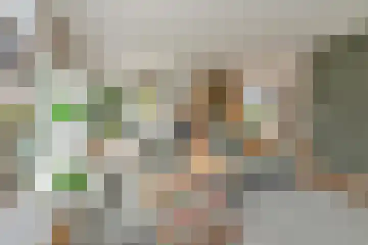 Zwanenbalg 1519 Julianadorp thumbnail 20