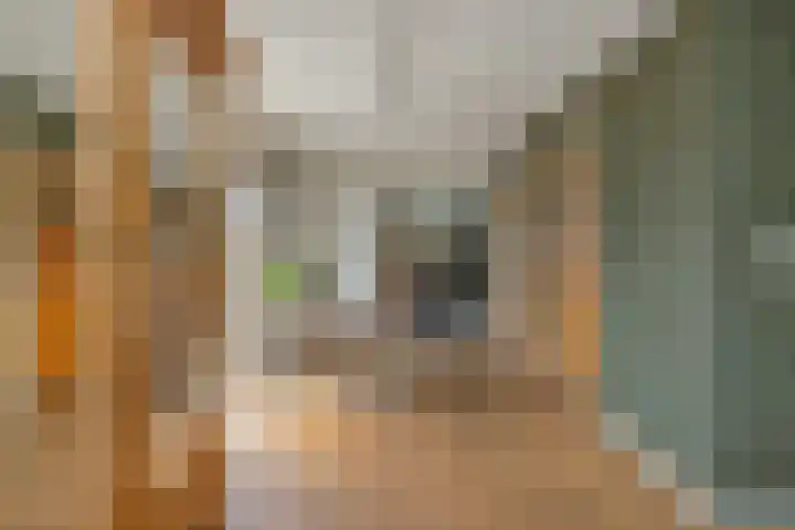 Zwanenbalg 1519 Julianadorp thumbnail 21