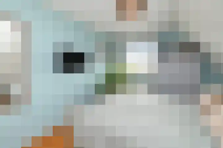 Zwanenbalg 1519 Julianadorp thumbnail 51