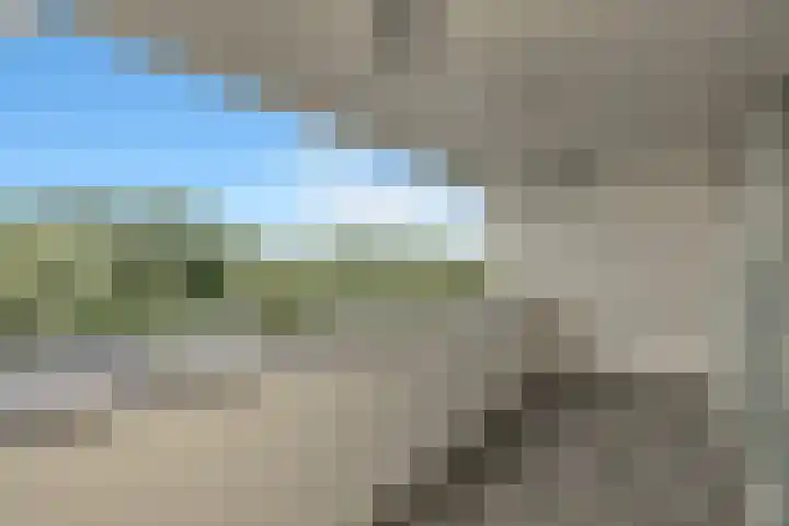 Zwanenbalg 1519 Julianadorp thumbnail 55
