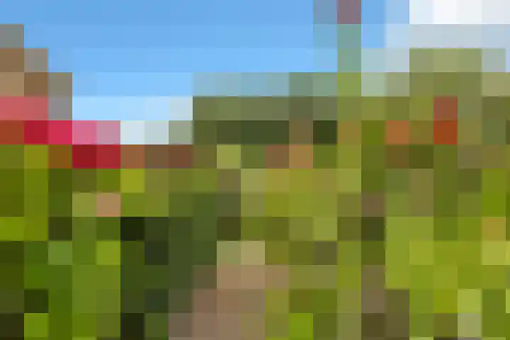 Zwanenbalg 1519 Julianadorp thumbnail 71
