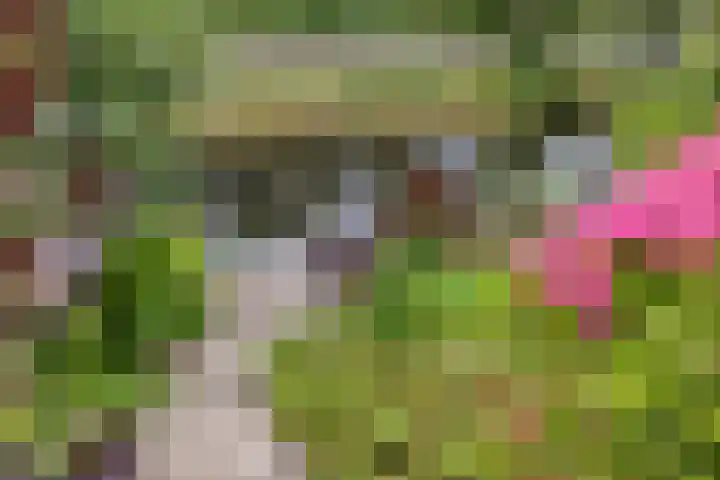 Zwanenbalg 1519 Julianadorp thumbnail 72