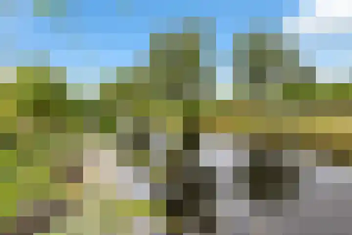 Zwanenbalg 1519 Julianadorp thumbnail 76