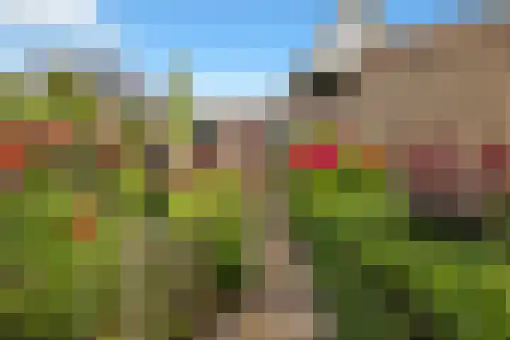 Zwanenbalg 1519 Julianadorp thumbnail 77