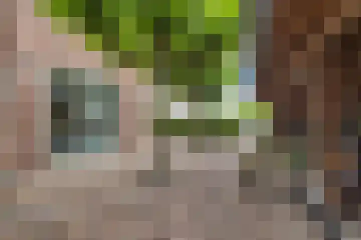 Zwanenbalg 1519 Julianadorp thumbnail 78