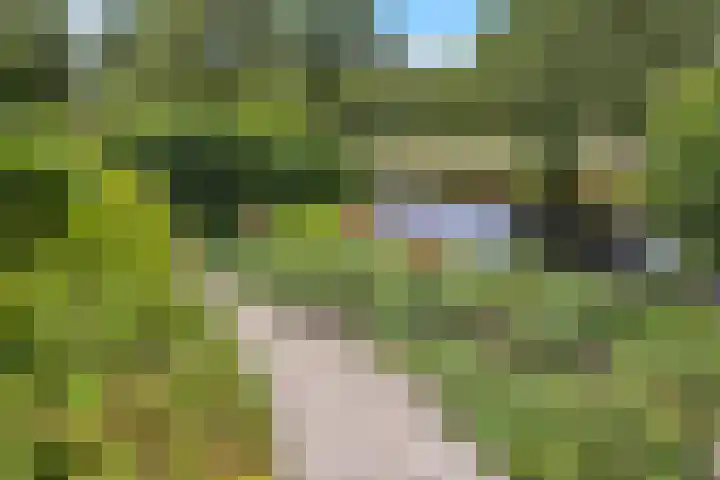 Zwanenbalg 1519 Julianadorp thumbnail 79
