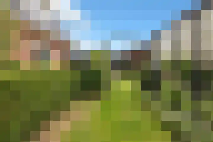 Zwanenbalg 1519 Julianadorp thumbnail 80