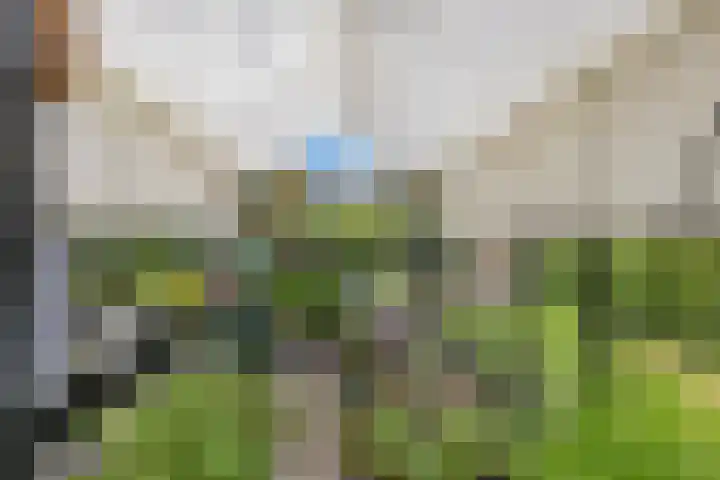 Zwanenbalg 1519 Julianadorp thumbnail 82