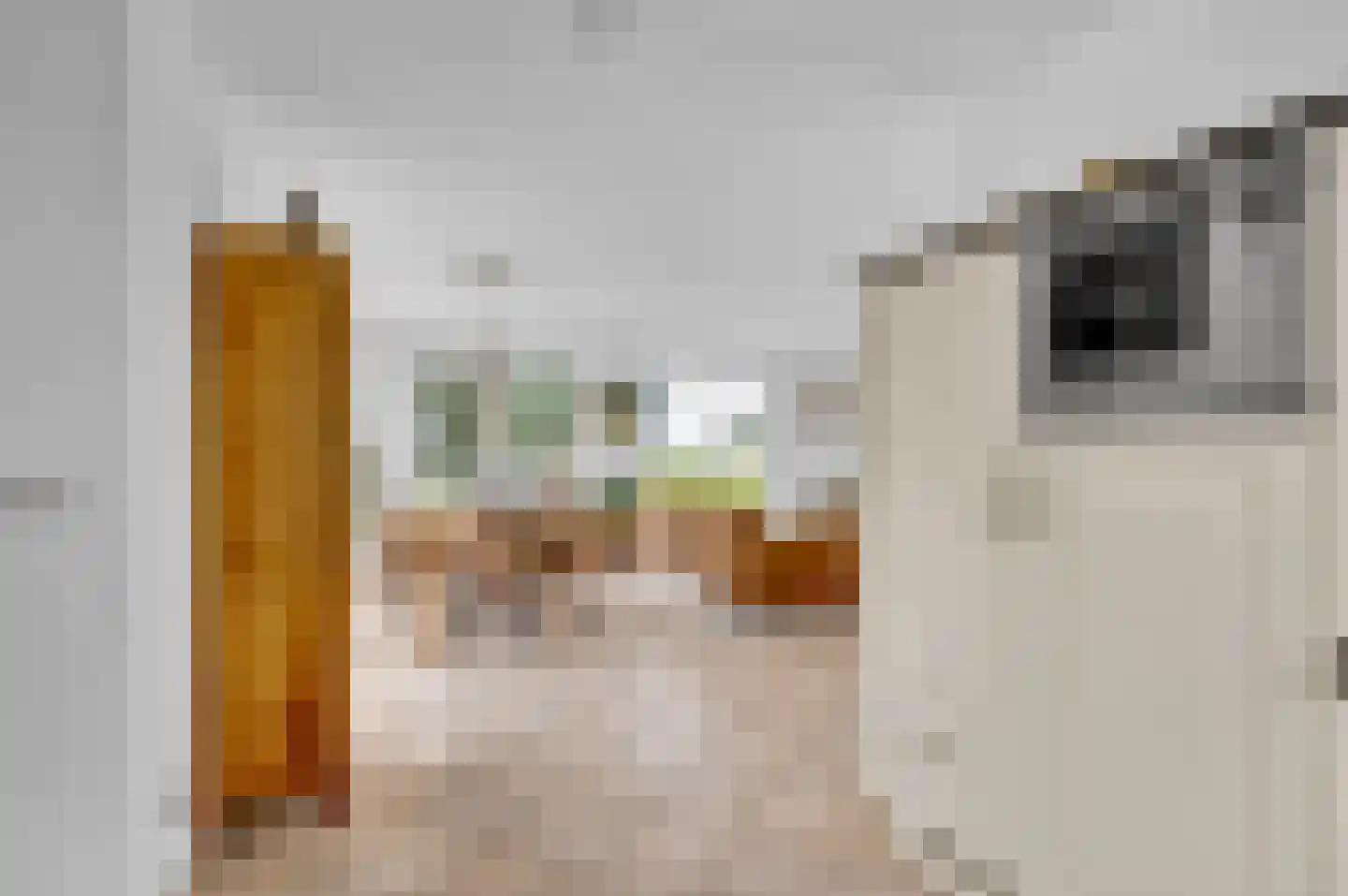 Zwanenbalg 28 Makkum thumbnail 17