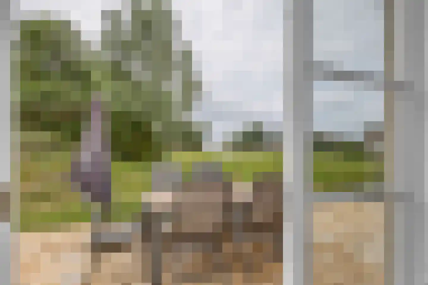 Zwanenbalg 28 Makkum thumbnail 22