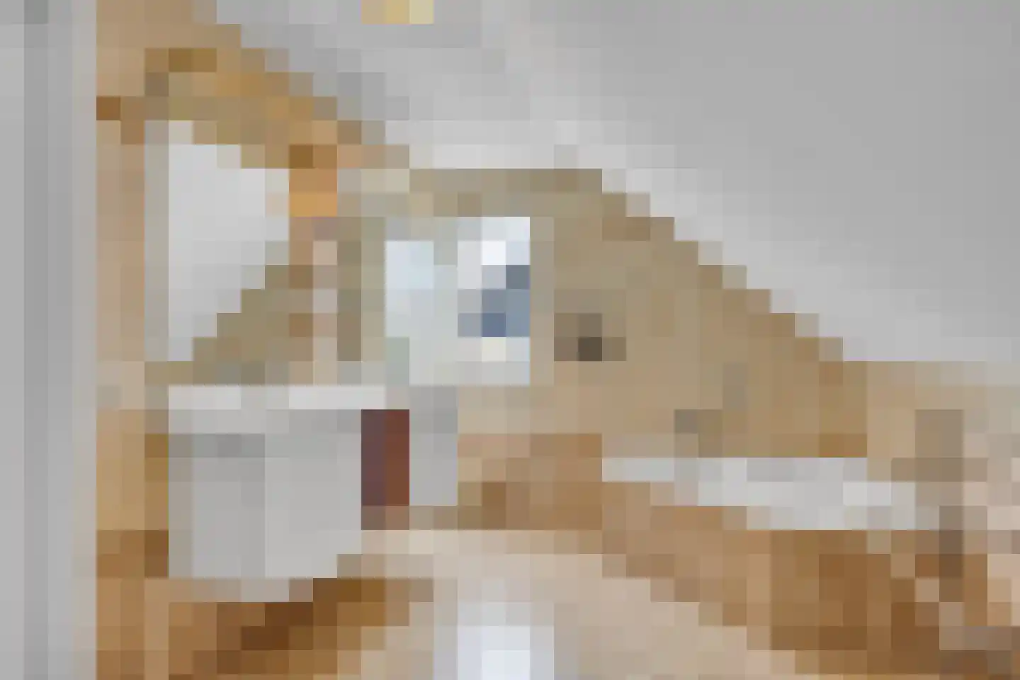 Zwanenbalg 28 Makkum thumbnail 32