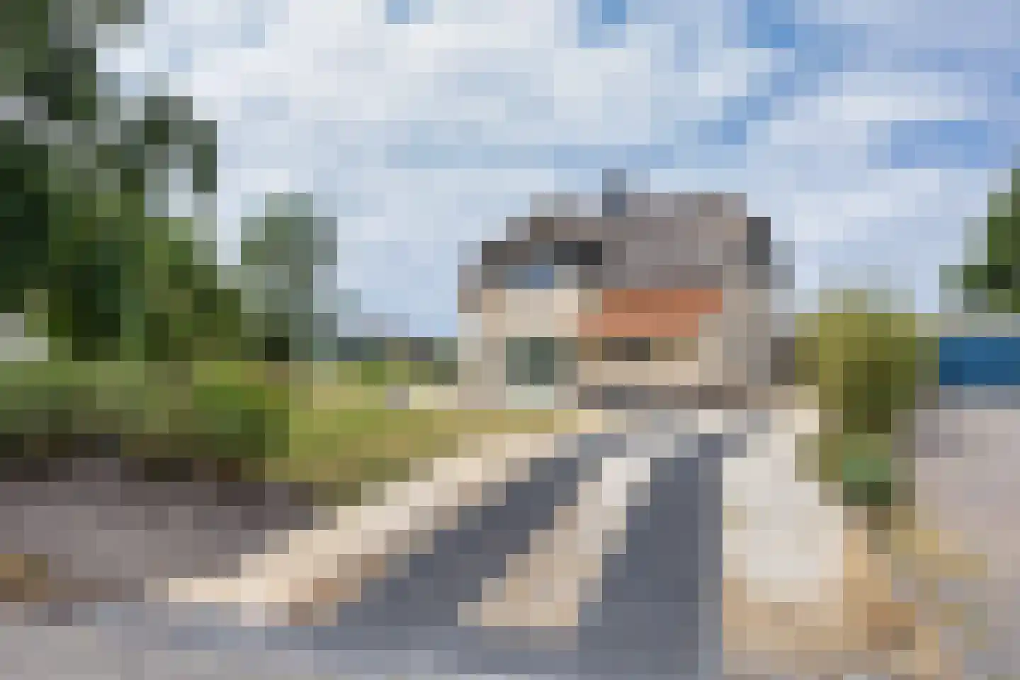 Zwanenbalg 28 Makkum thumbnail 50