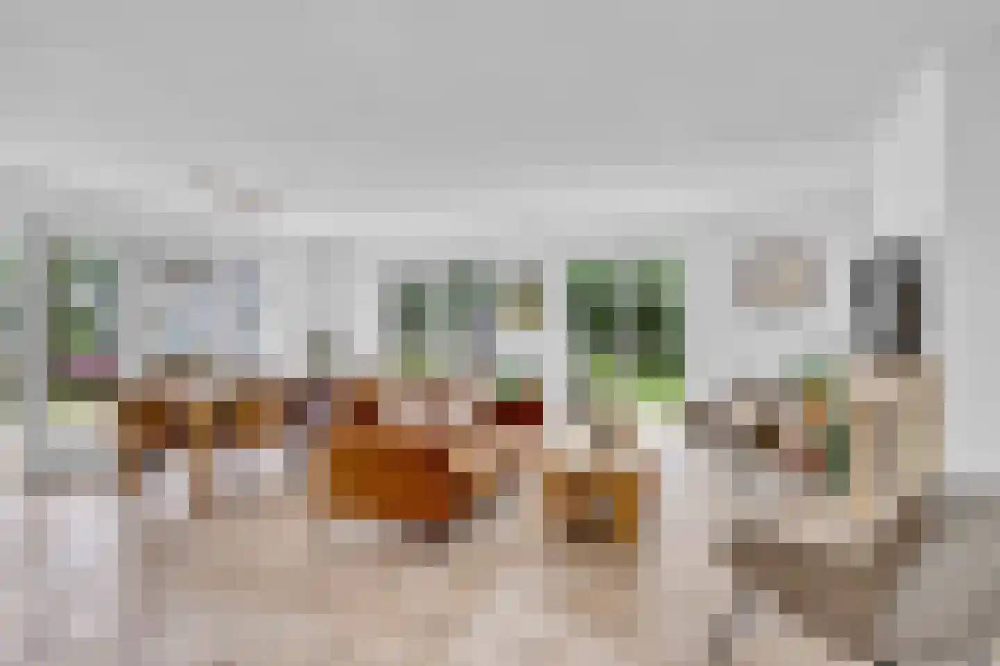 Zwanenbalg 28 Makkum thumbnail 9