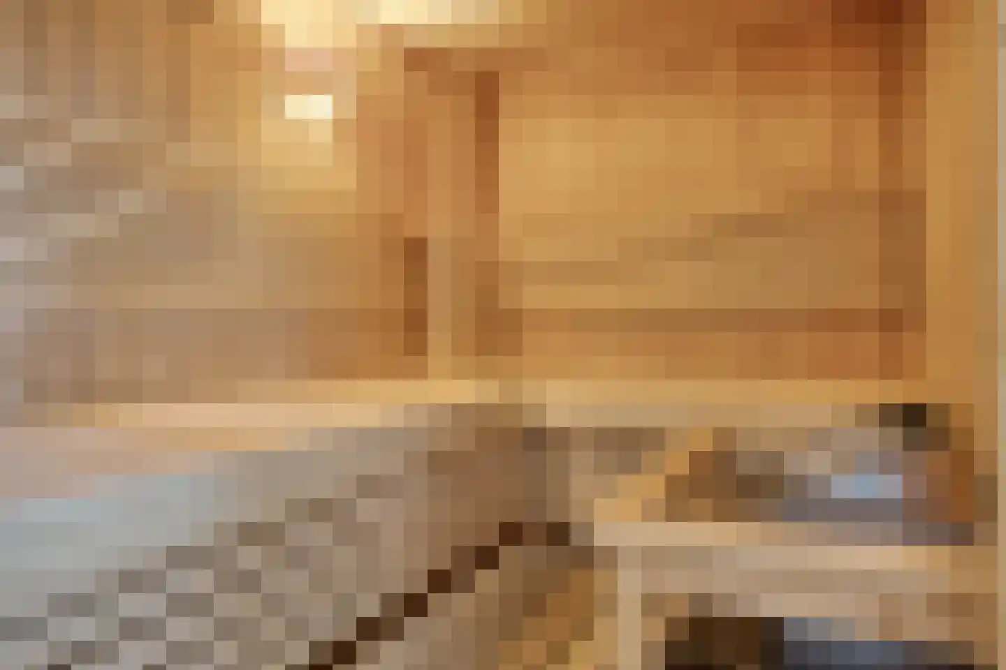 Zwanenbalg 32 Makkum thumbnail 16