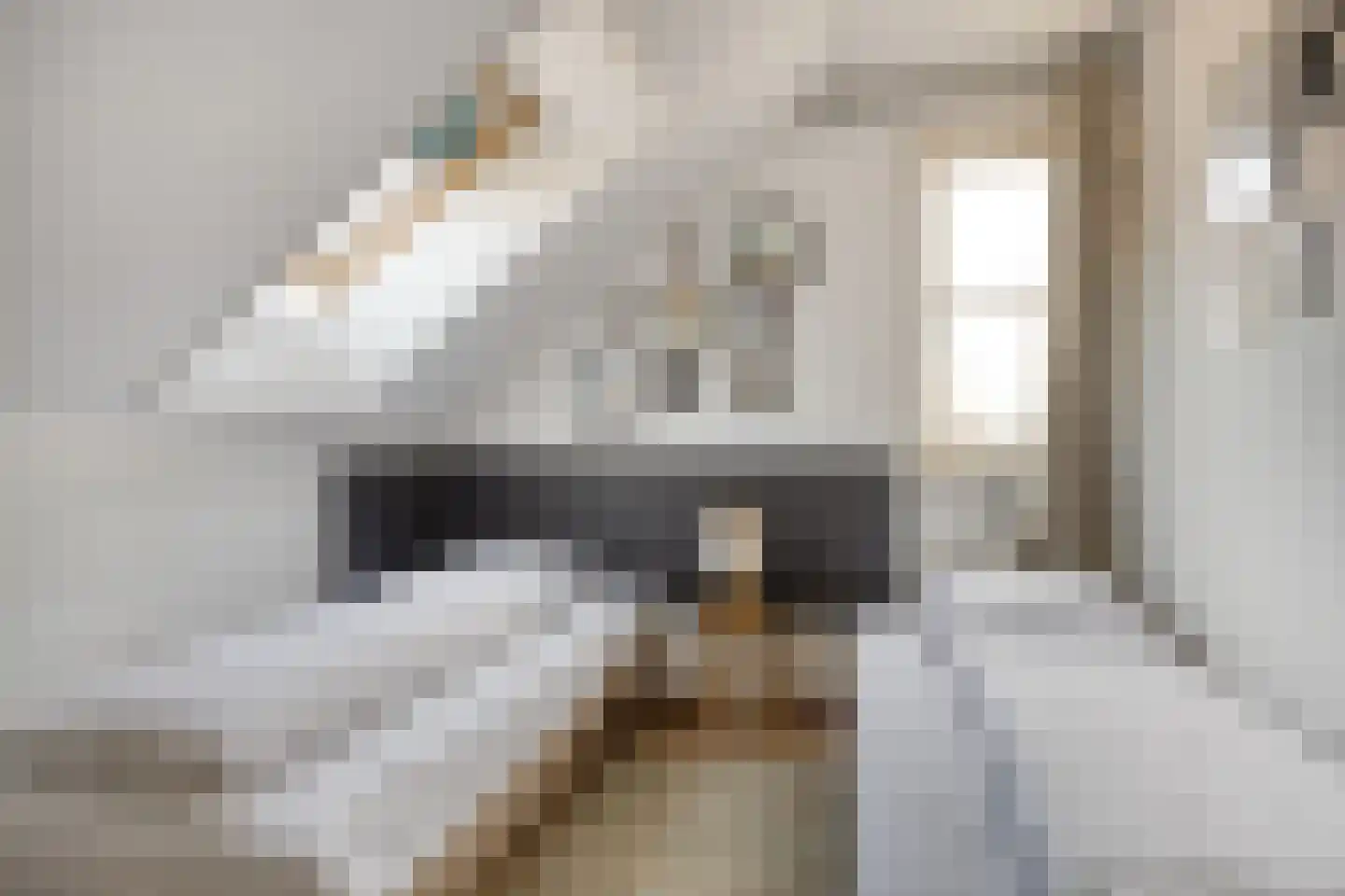 Zwanenbalg 32 Makkum thumbnail 22