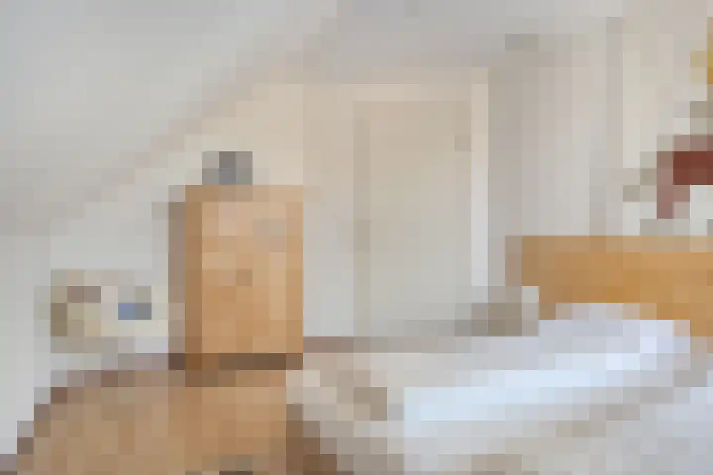 Zwanenbalg 32 Makkum thumbnail 24