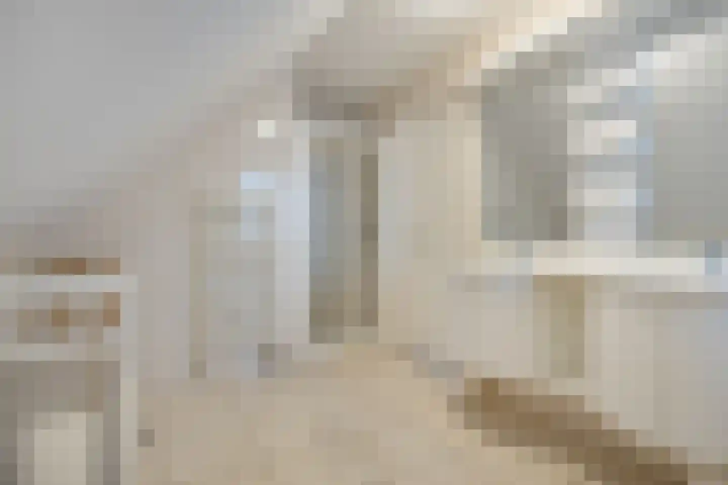 Zwanenbalg 32 Makkum thumbnail 27