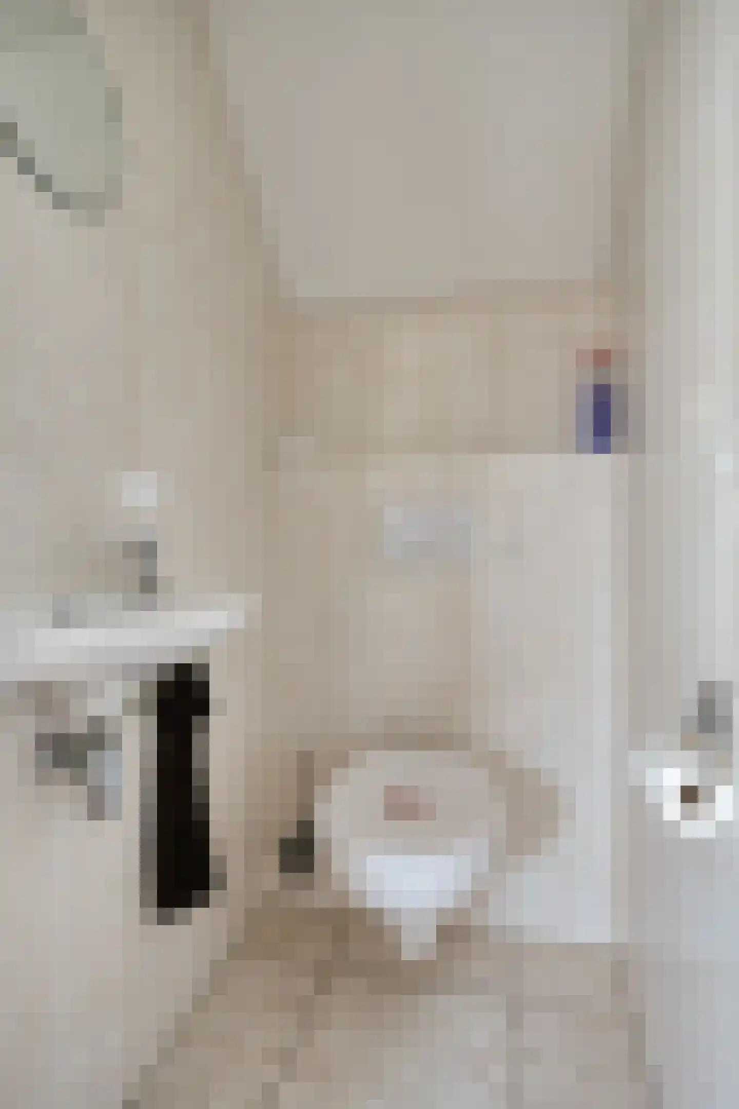 Zwanenbalg 32 Makkum thumbnail 29