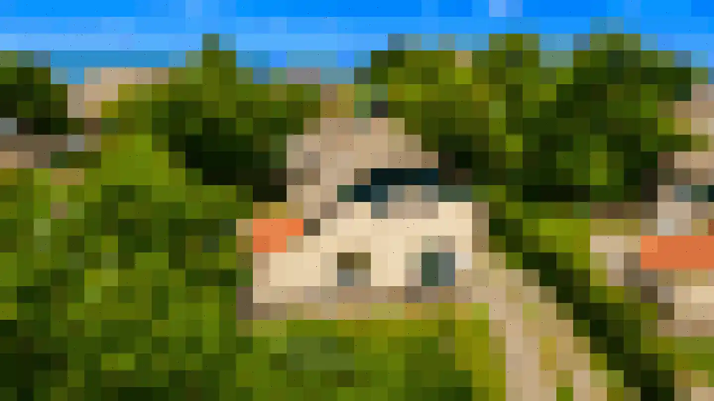 Zwanenbalg 32 Makkum thumbnail 33