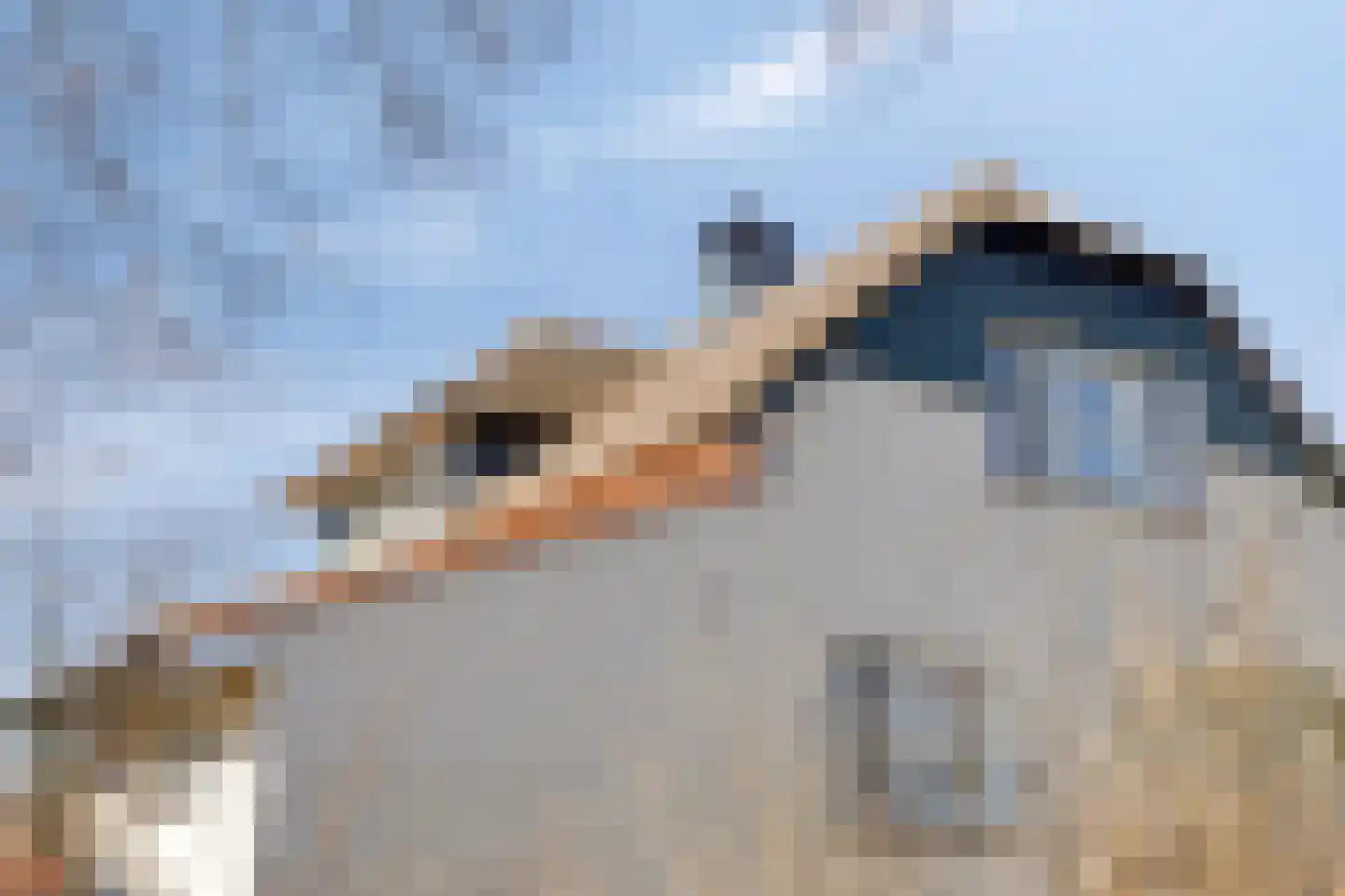 Zwanenbalg 32 Makkum thumbnail 6