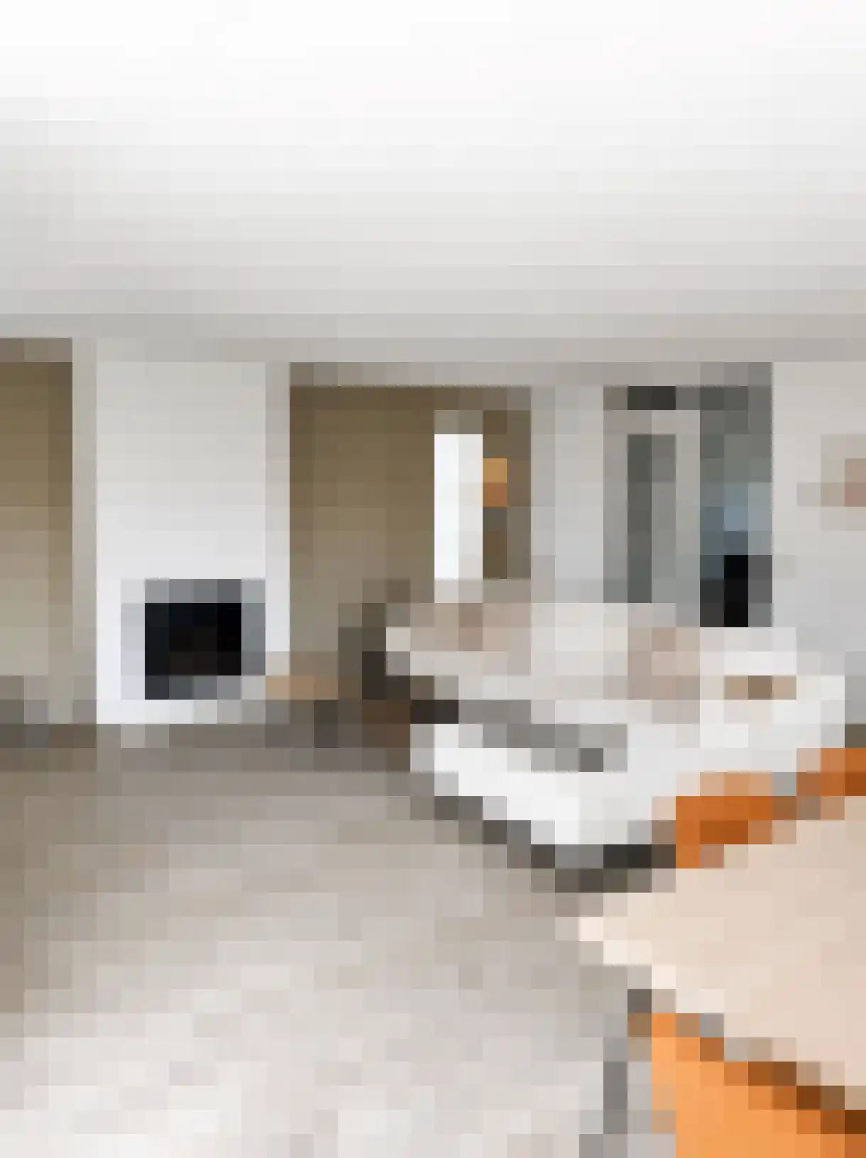 Zwanenbalg 34 Makkum thumbnail 11