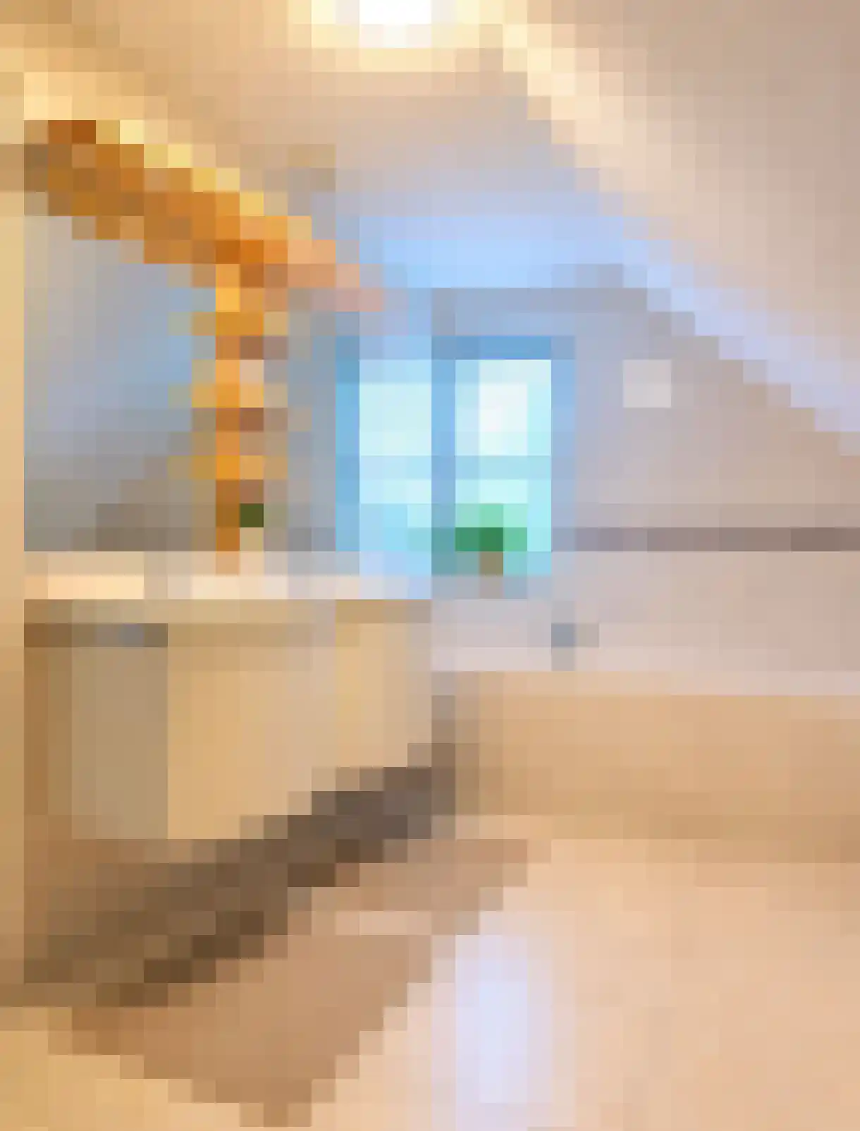 Zwanenbalg 34 Makkum thumbnail 16