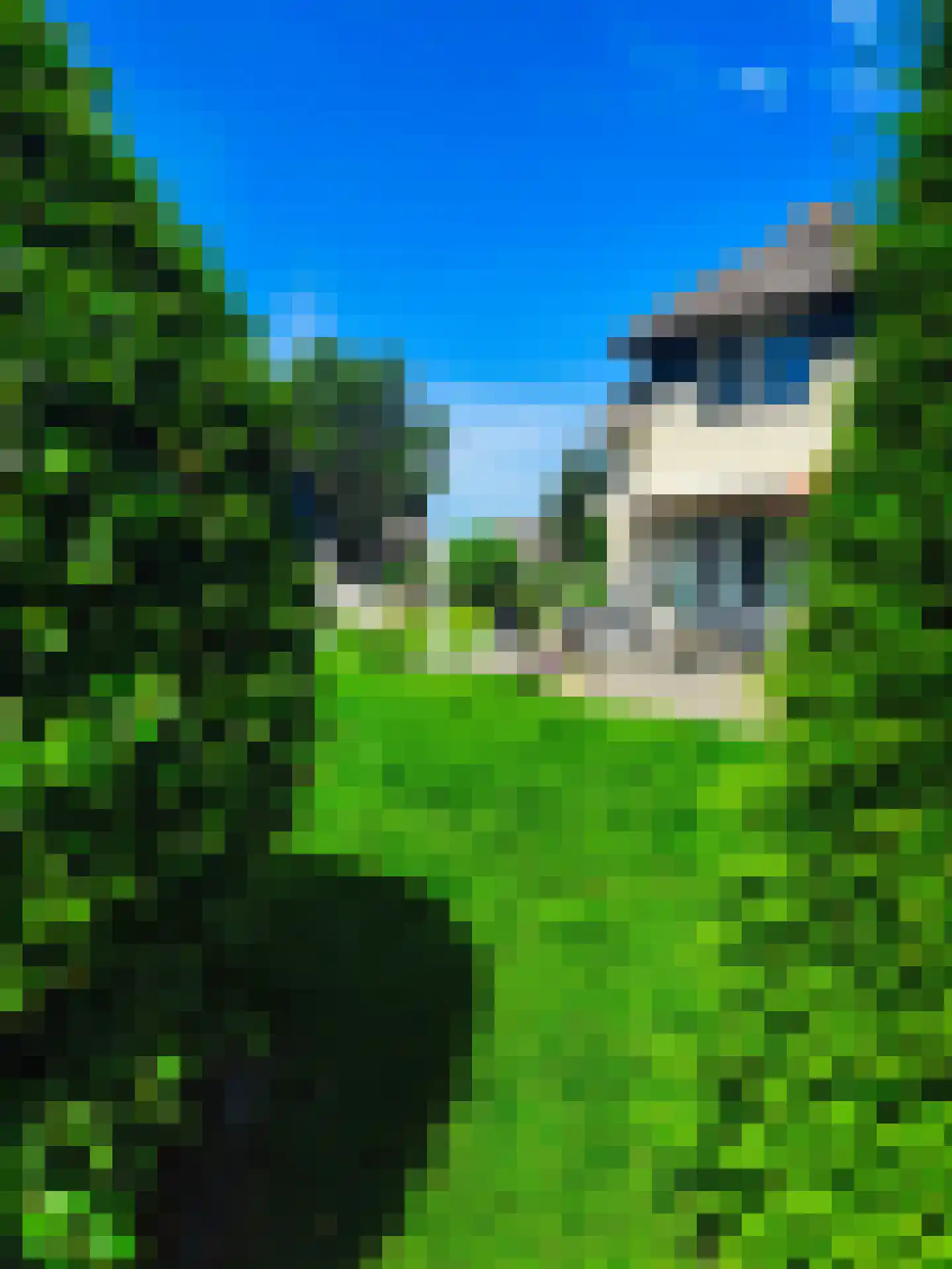 Zwanenbalg 34 Makkum thumbnail 18