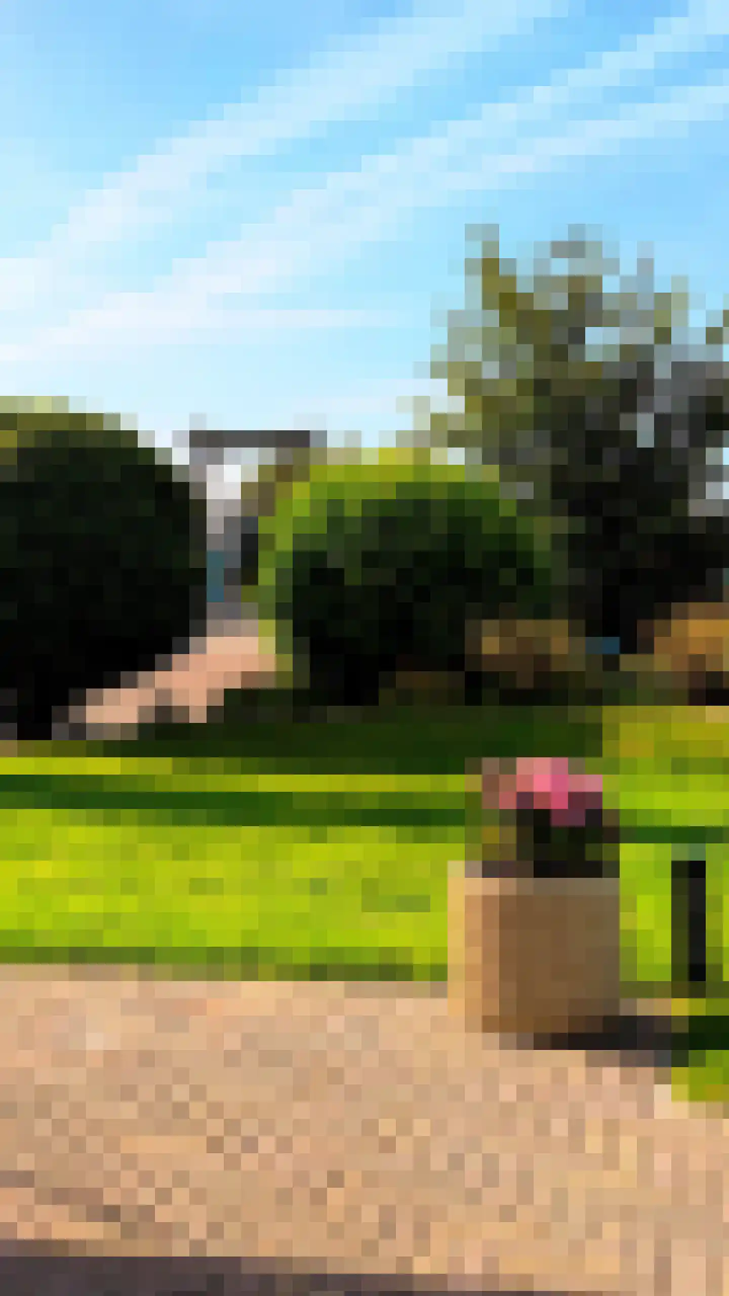 Zwanenbalg 34 Makkum thumbnail 20