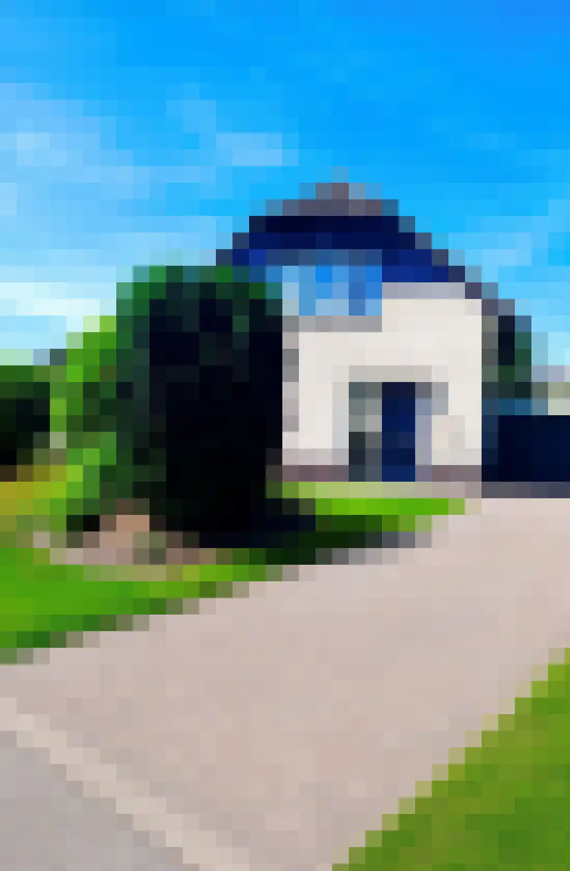 Zwanenbalg 34 Makkum thumbnail 6
