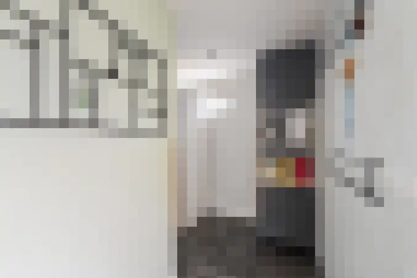 Zwanenbalg 5 Emmeloord thumbnail 10