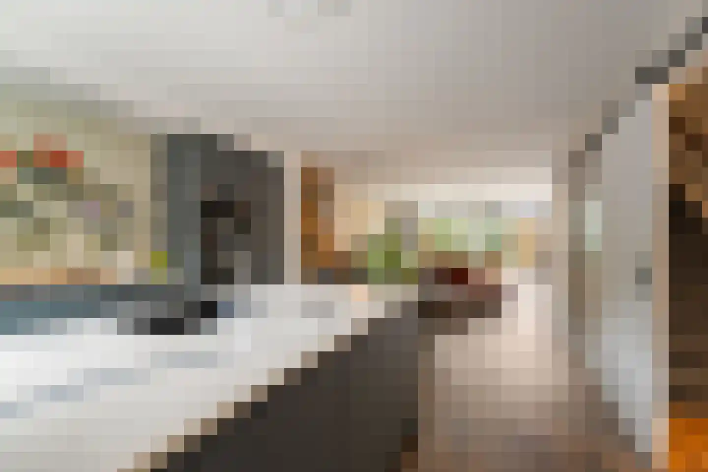 Zwanenbalg 5 Emmeloord thumbnail 14