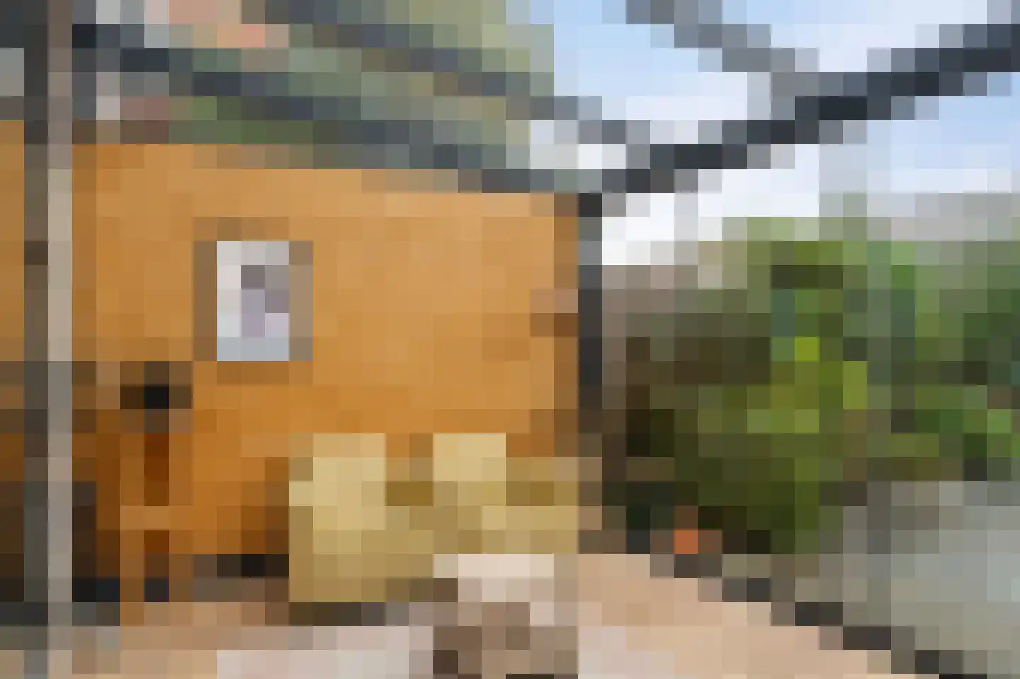 Zwanenbalg 5 Emmeloord thumbnail 23