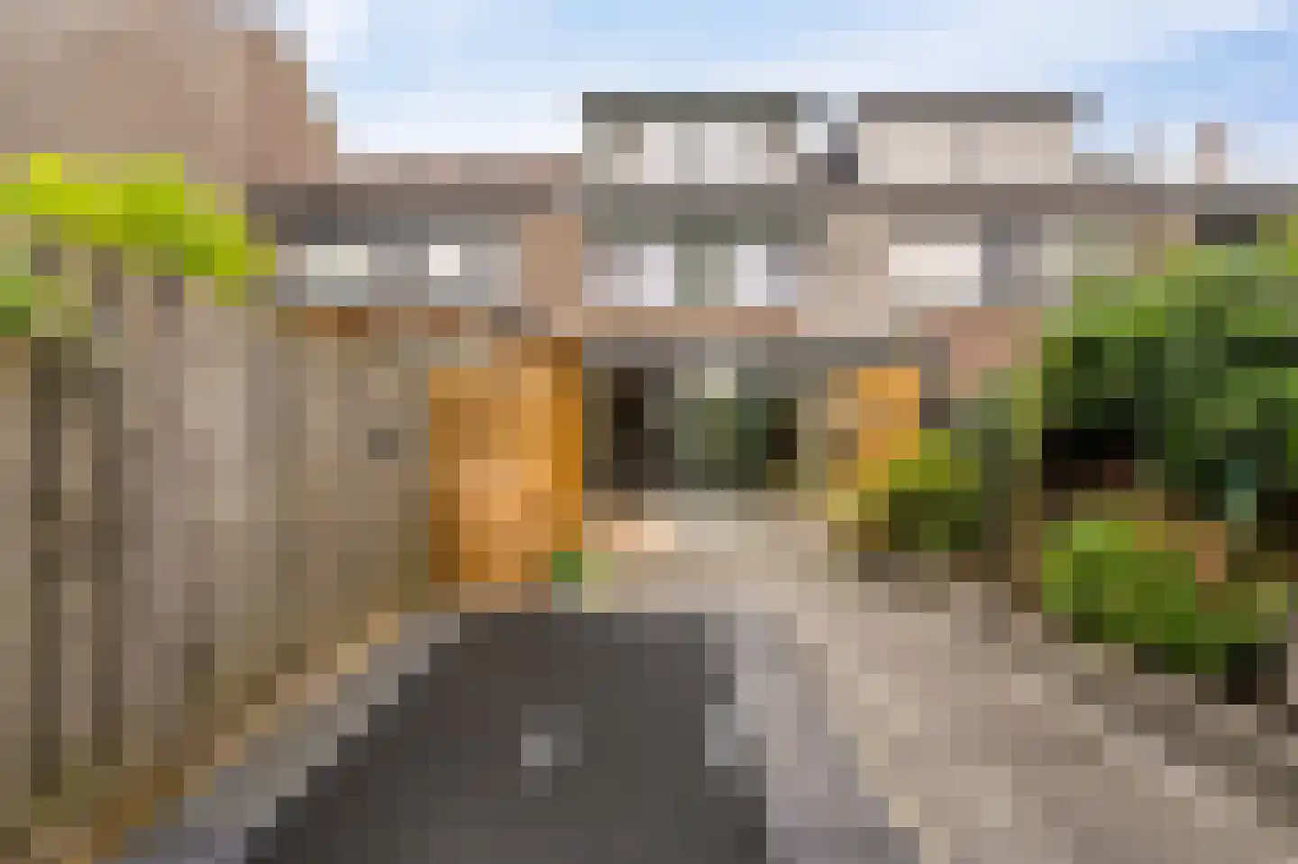 Zwanenbalg 5 Emmeloord thumbnail 28