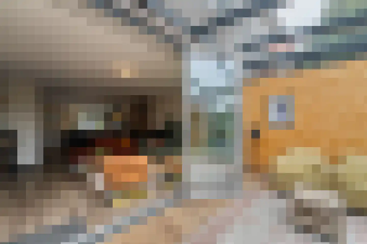 Zwanenbalg 5 Emmeloord thumbnail 30