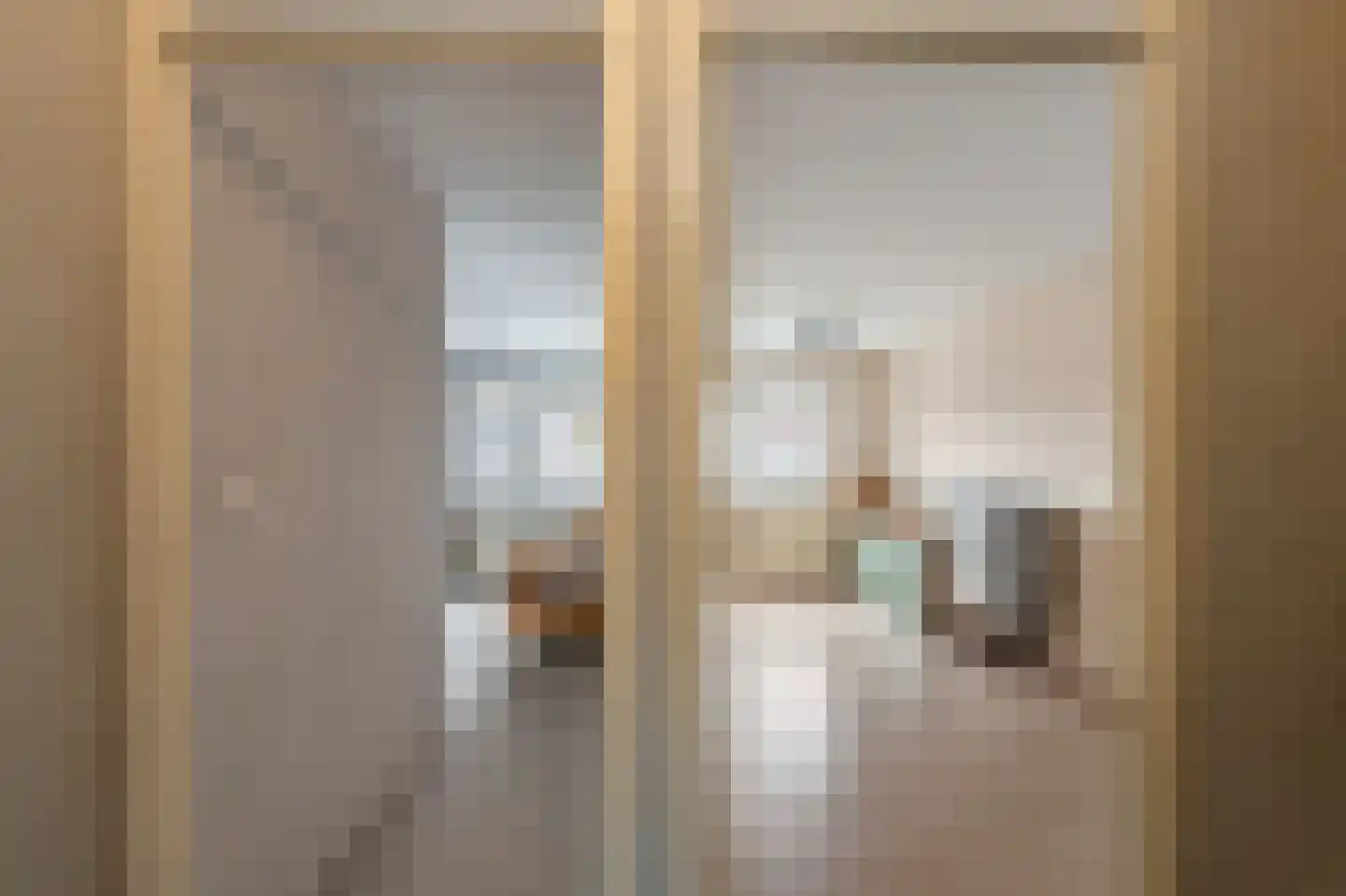 Zwanenbalg 5 Emmeloord thumbnail 31