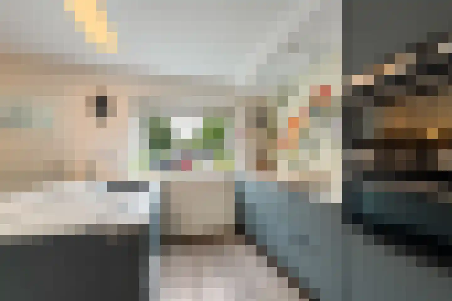Zwanenbalg 5 Emmeloord thumbnail 4
