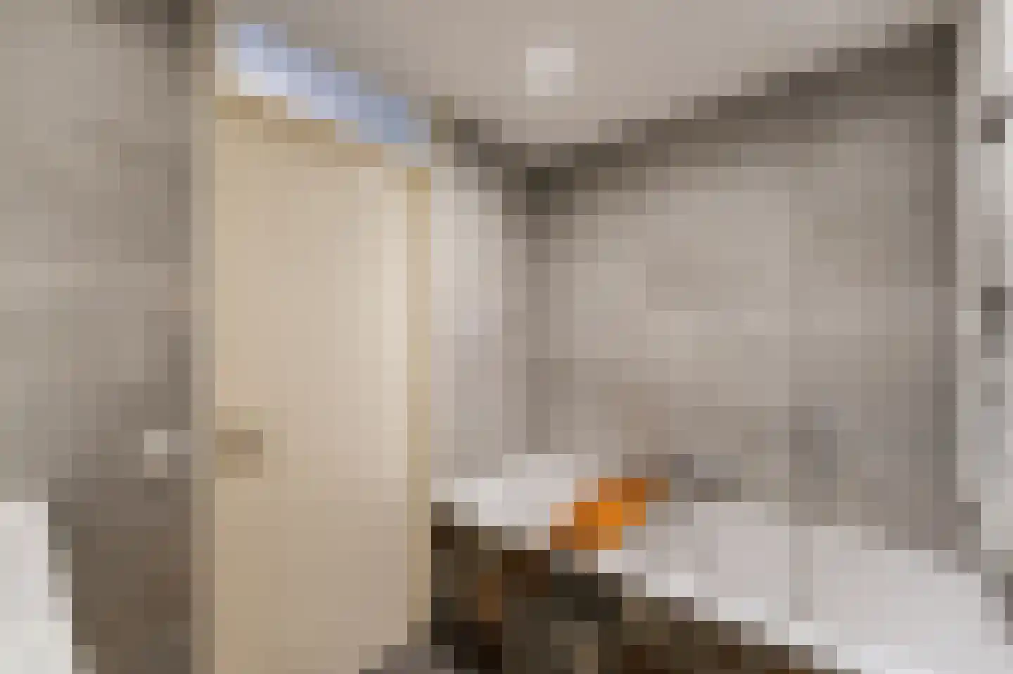 Zwanenbalg 5 Emmeloord thumbnail 41