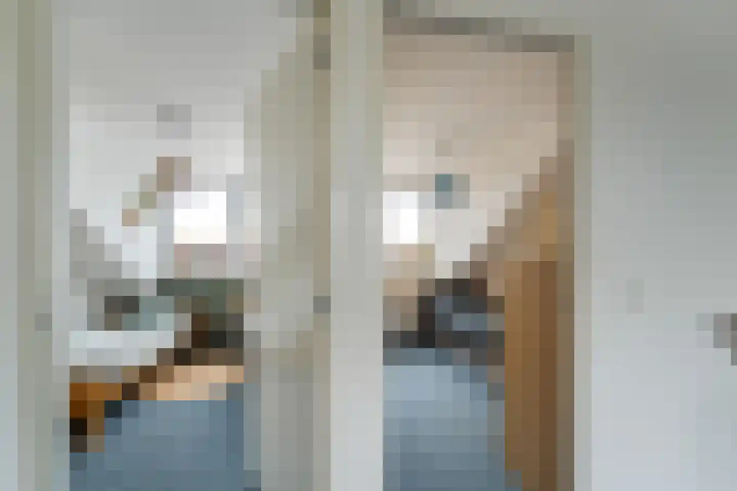 Zwanenbalg 5 Emmeloord thumbnail 42