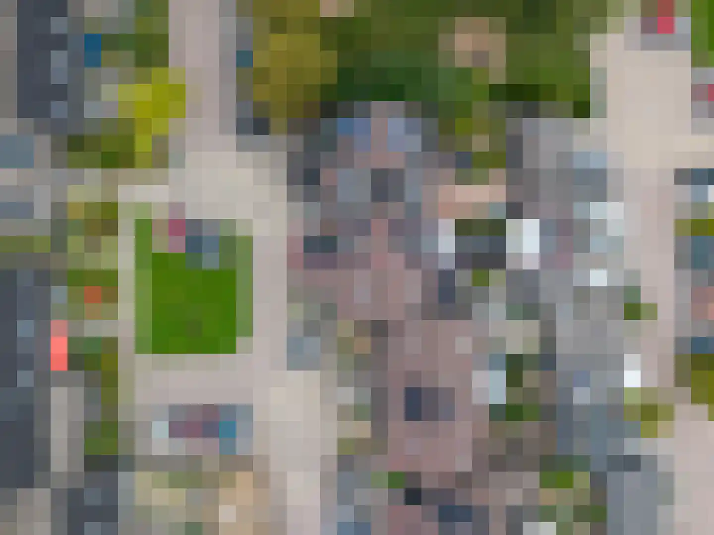 Zwanenbalg 5 Emmeloord thumbnail 51