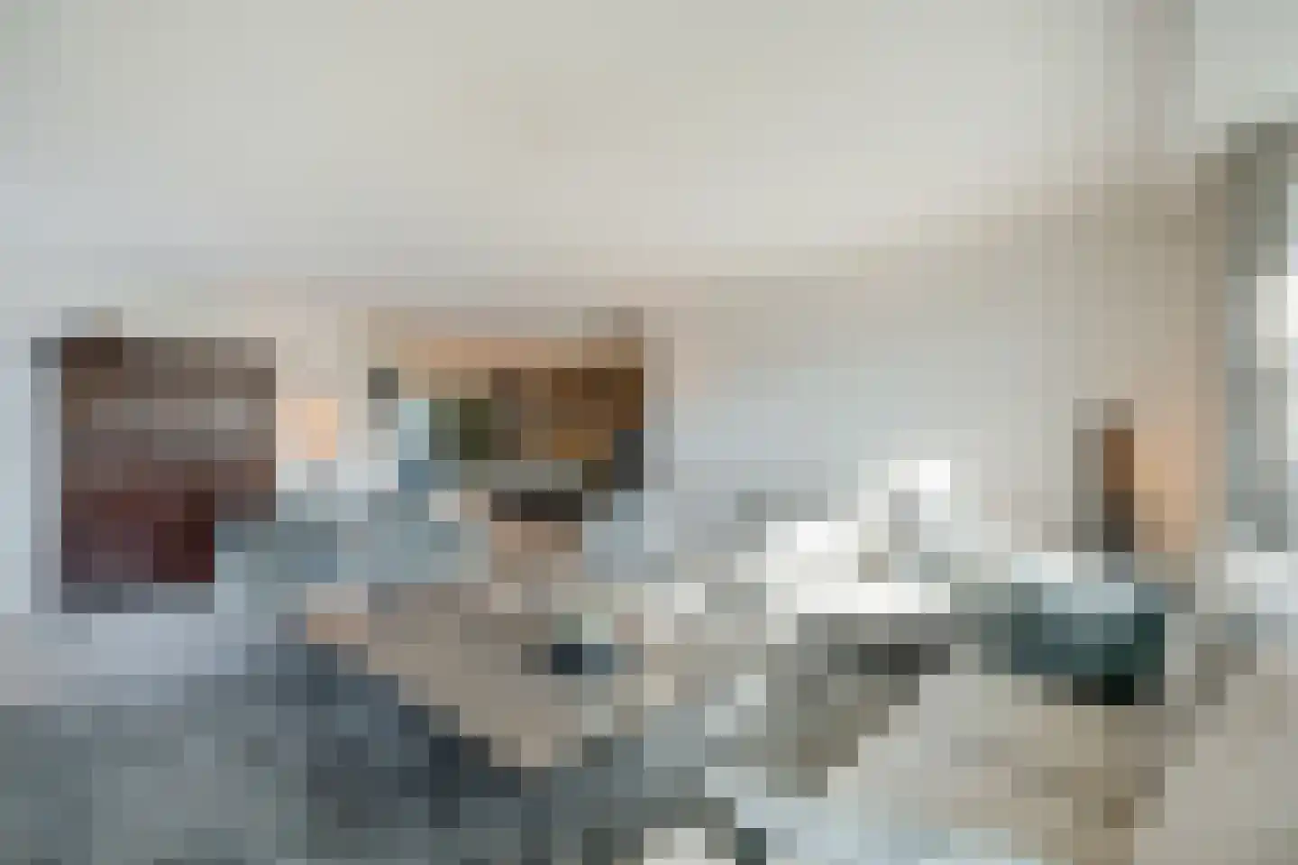Zwanenbeemd 6 Helmond thumbnail 13