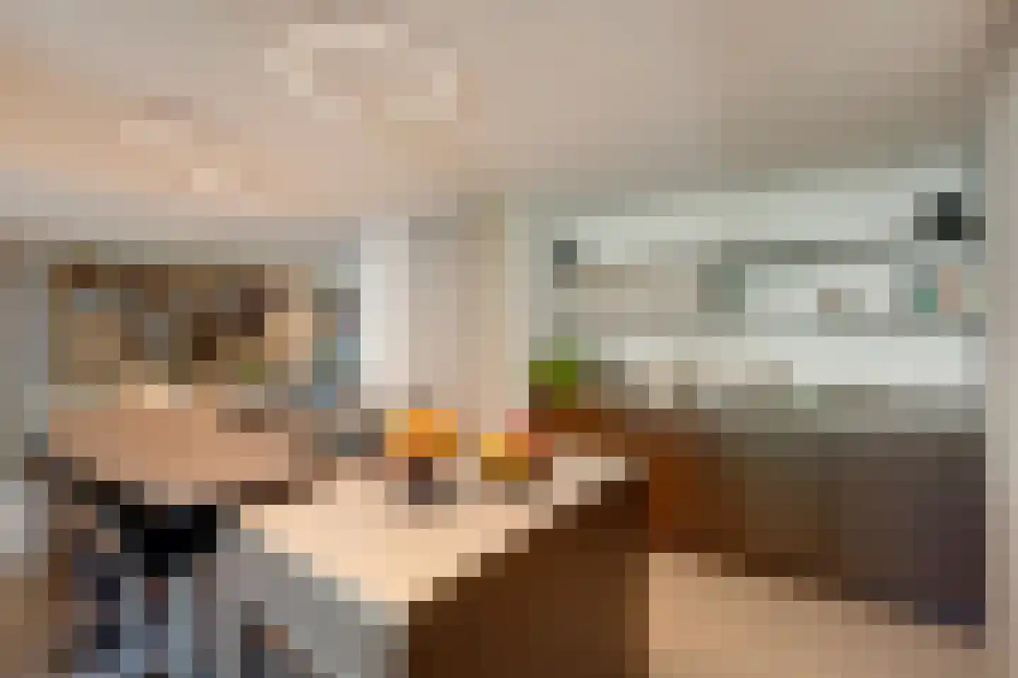 Zwanenbeemd 6 Helmond thumbnail 18