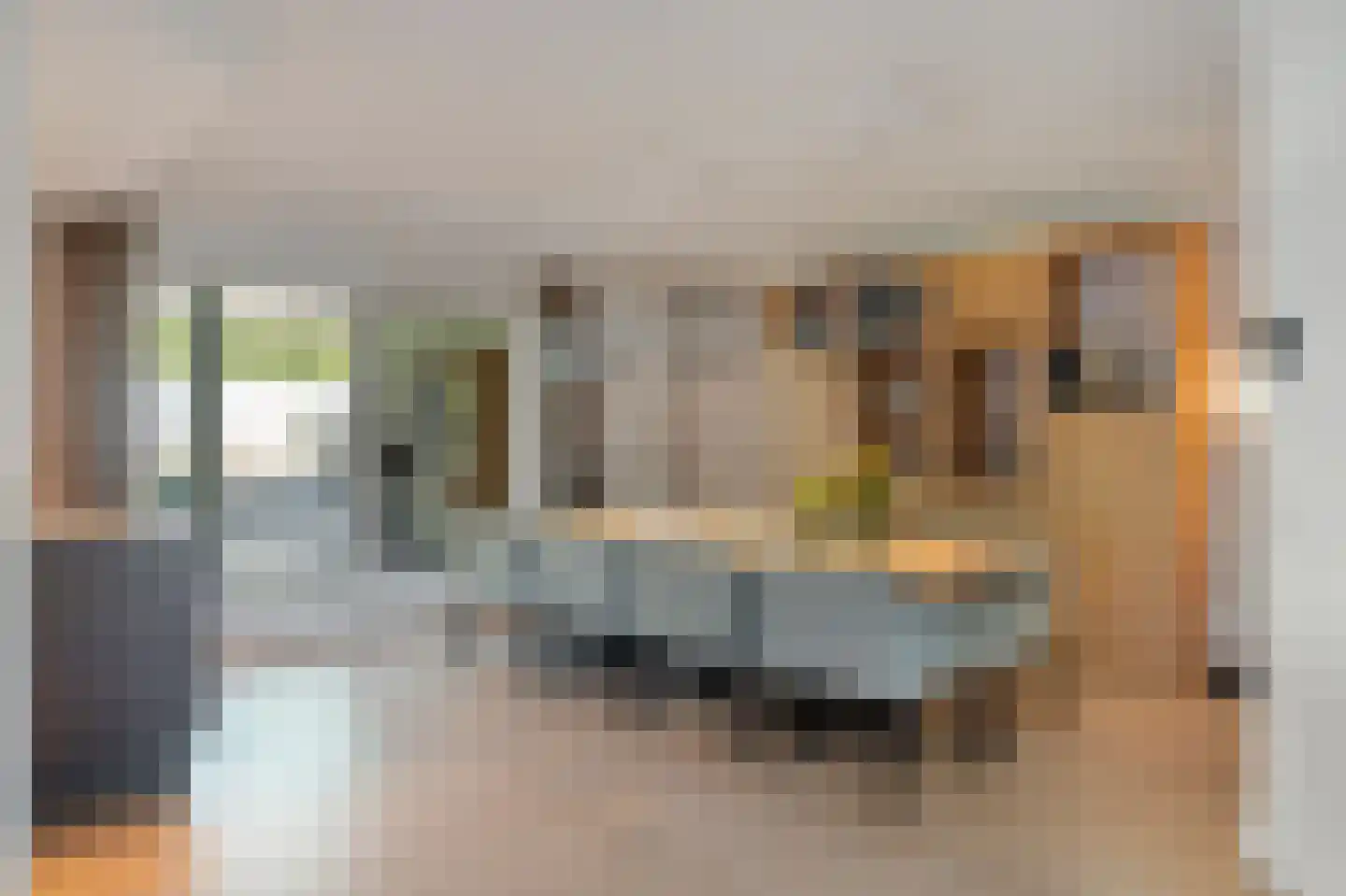 Zwanenbeemd 6 Helmond thumbnail 22
