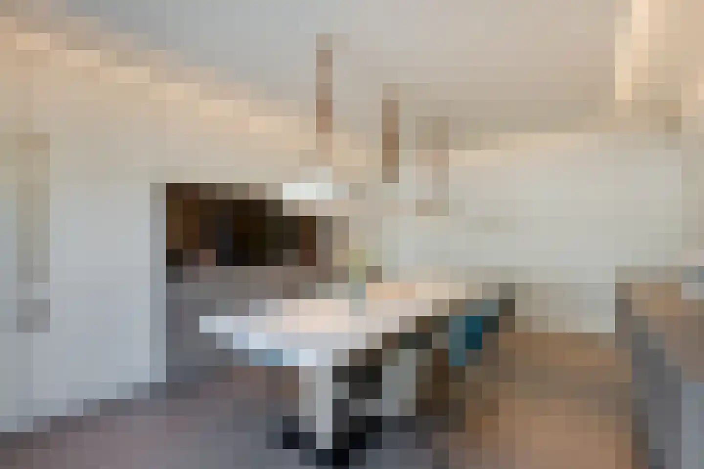 Zwanenbeemd 6 Helmond thumbnail 24