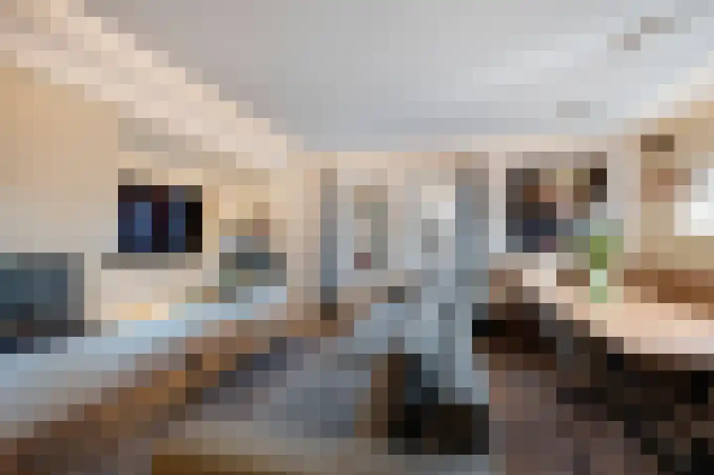 Zwanenbeemd 6 Helmond thumbnail 29