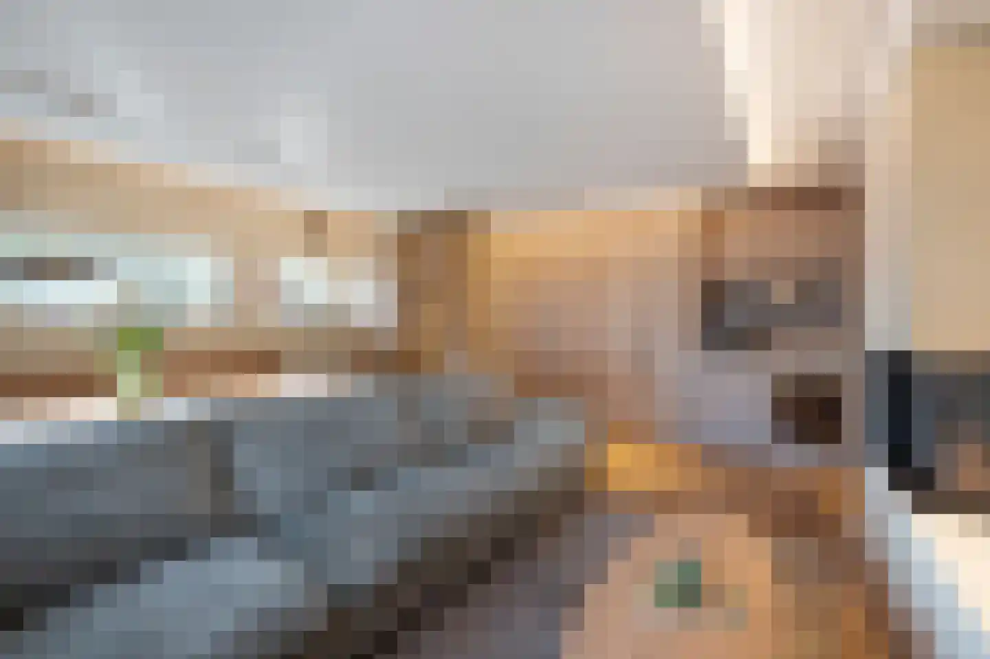 Zwanenbeemd 6 Helmond thumbnail 30