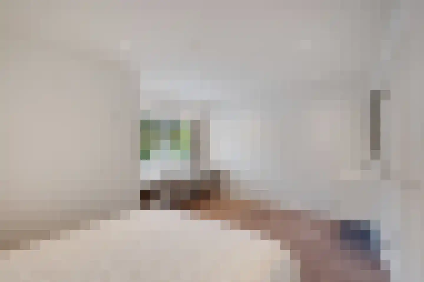 Zwanenbeemd 6 Helmond thumbnail 35