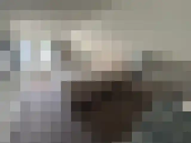 Zwanenbeemd 6 Helmond thumbnail 37